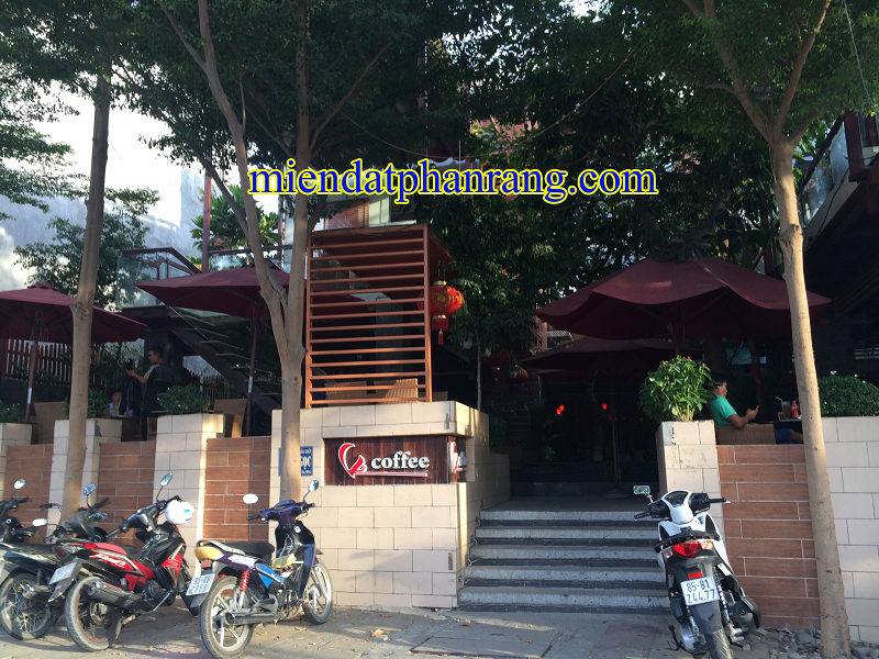 cafe V-coffee